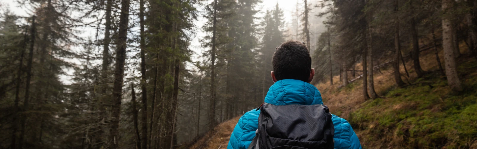 Outdoor Adventures in Twain Harte: Hiking, Lakes & Nature Escapes