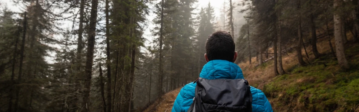 Outdoor Adventures in Twain Harte: Hiking, Lakes & Nature Escapes