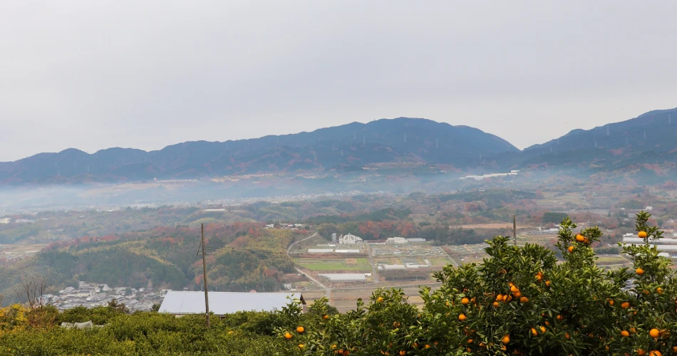 Twain Harte Nightlife Guide: Best Bars, Live Music & Evening Vibes