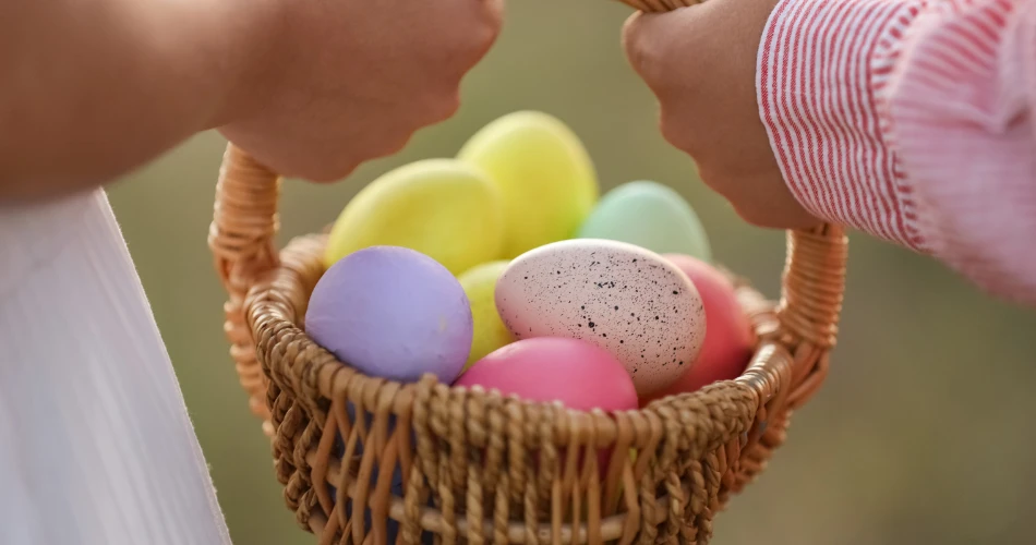 Best Annual Events in Twain Harte You Can’t Miss