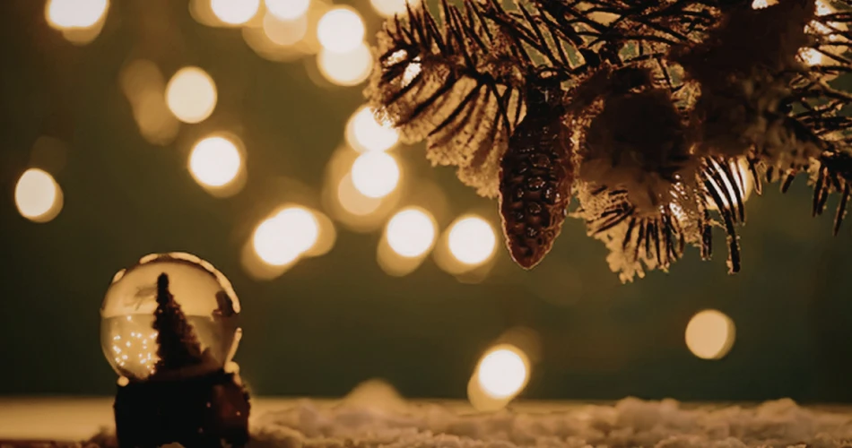 Best Annual Events in Twain Harte You Can’t Miss