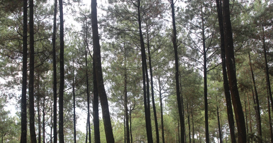 أفضل الأماكن للزيارة في توين هارت للمسافرين لأول مرة