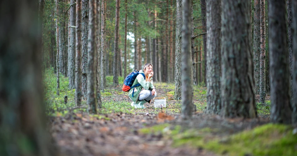 Outdoor Adventures in Twain Harte: Hiking, Lakes & Nature Escapes